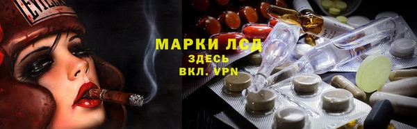 спайс Баксан