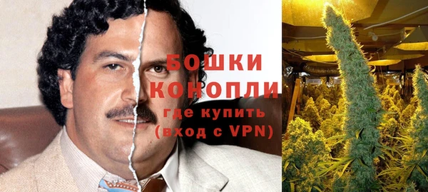 спайс Баксан