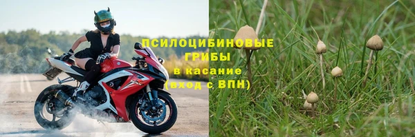 мдпв Балабаново
