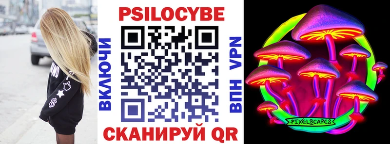 Купить  Донской  Псилоцибиновые грибы Psilocybe 